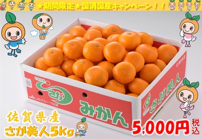 さが美人 約5kg