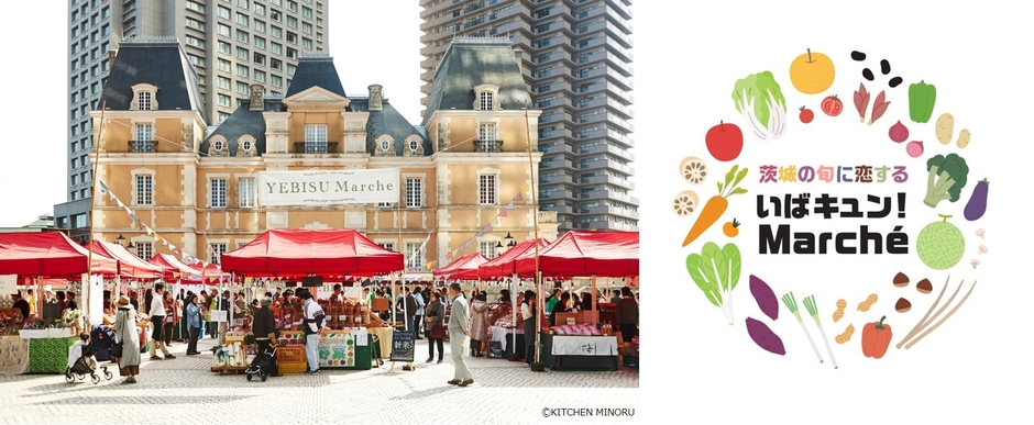 茨城の旬に恋する『いばキュン!Marche by YEBISU Marche』開催