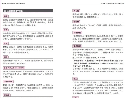 用語解説