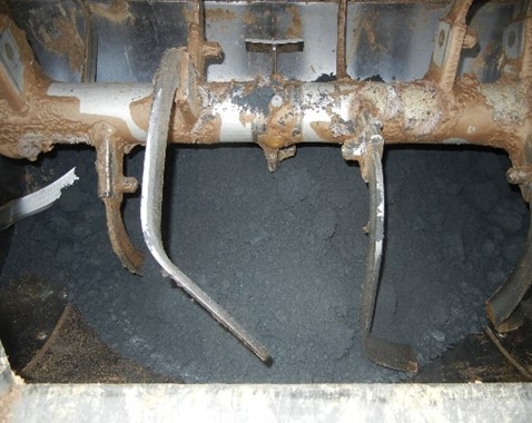 活性酸素有無による変化 スタート