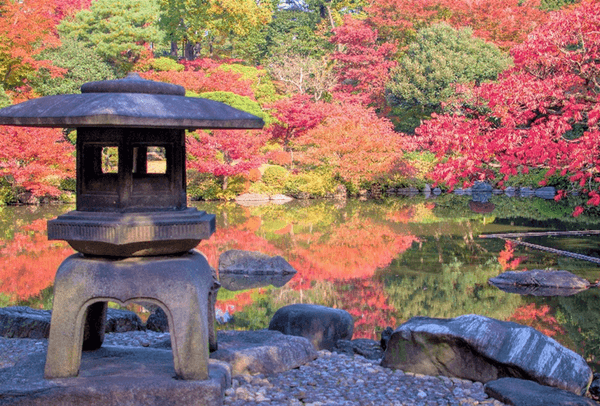 心字池の周りを彩る色とりどりの樹々