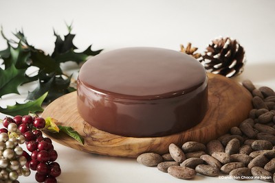 クリスマスチョコレートケーキ