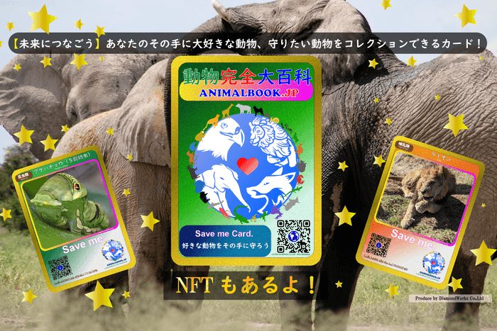 「Save me Card」概要