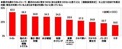 愛犬を連れてのレジャーで、愛犬のために気をつけた(または気をつけたいと思う)こと