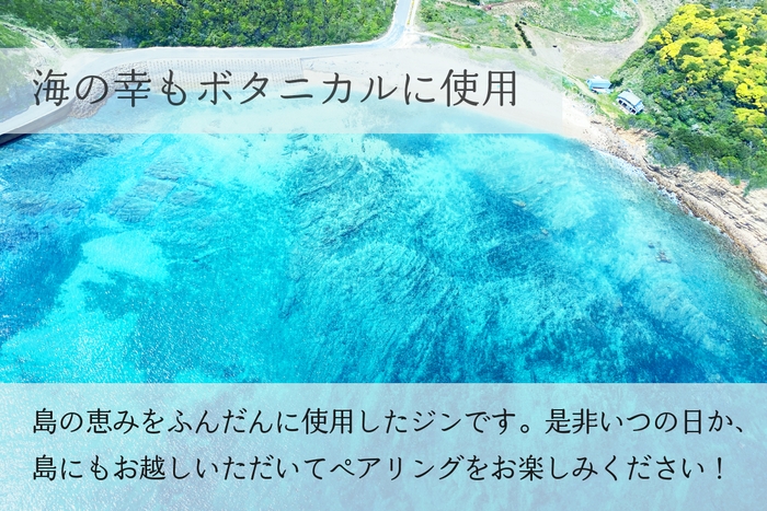 プロジェクト3