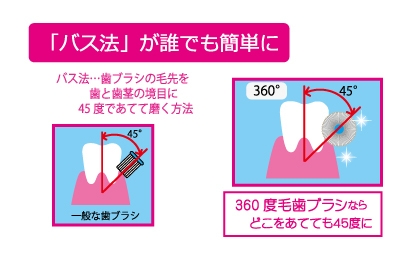 正しい歯磨き法　バス法解説