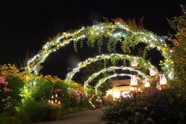 印象派の庭園　～夏の涼を求めて～ 夏のイベント情報のお知らせ