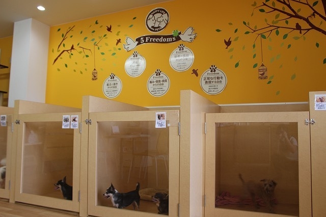 ペットと暮らそう柏会場