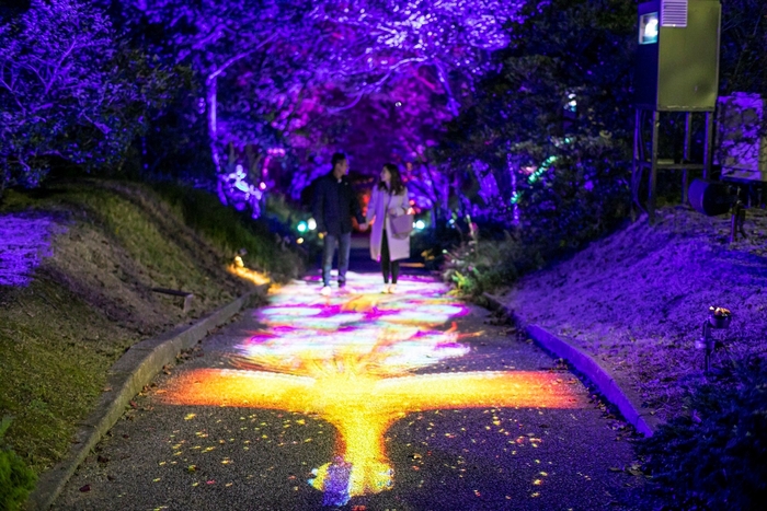 地面に現れる神秘的な火の鳥に感動