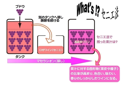 What's!?セニエ法?
