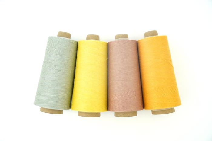 写真：左からブルーベリーの実、ピーマンの葉、梅の木、玉ねぎの葉