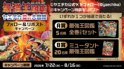 5_XCP画像