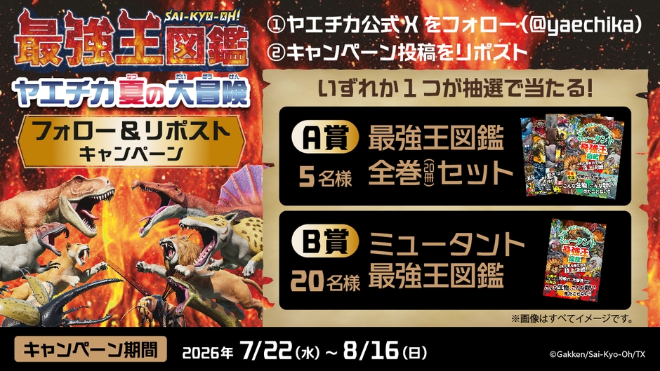 5_XCP画像