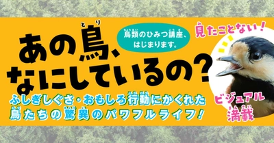 鳥たちの新たな魅力を発見できる！ 『鳥のしぐさ・行動よみとき図鑑』11月17日発売