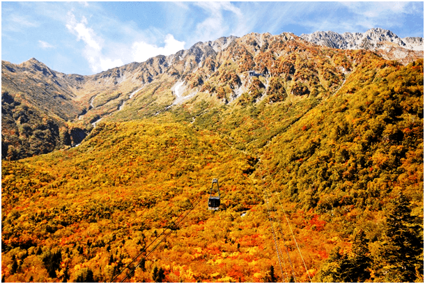 紅葉の大パノラマ・錦秋の絨毯