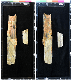 図3. 過去に採集された8世紀後半~9世紀後半の木材(スギ)が利用された刀の鞘