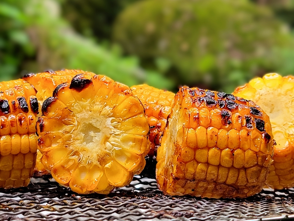 焼きとうもろこしの試食会　※写真はイメージ
