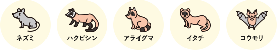 対象の害獣(例)