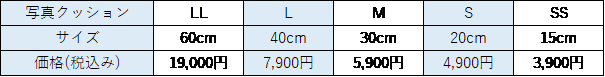 写真クッションのサイズ