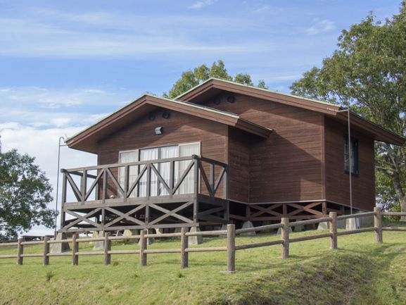 タイプが選べるウッディなケビンも人気!