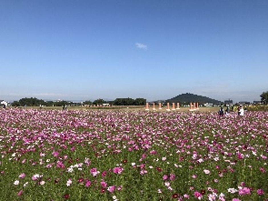 藤原宮跡