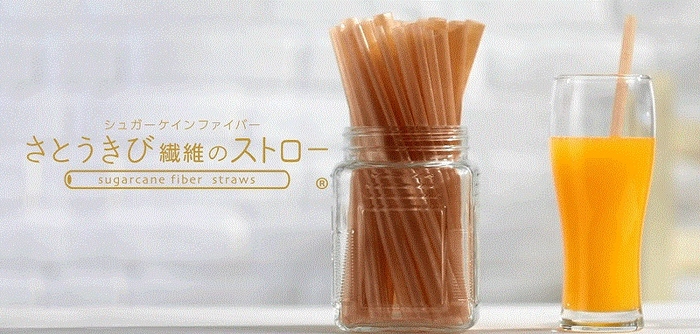 「さとうきび繊維のストロー」(販売元:シュガーケインファイバー株式会社)
