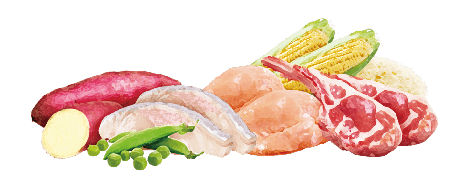 厳選された素材使用