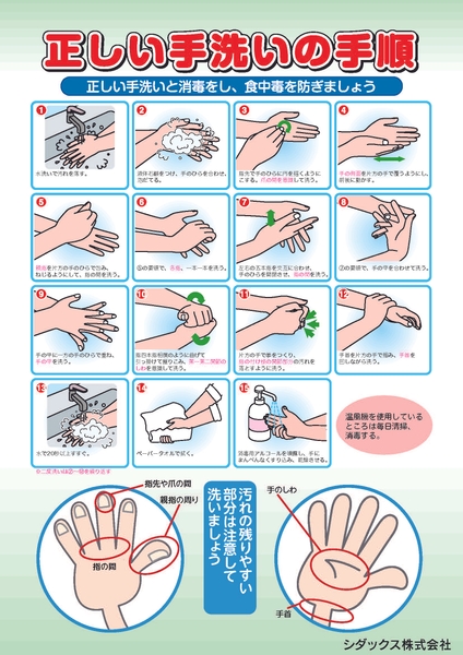 正しい手洗いの手順（シダックス作成）