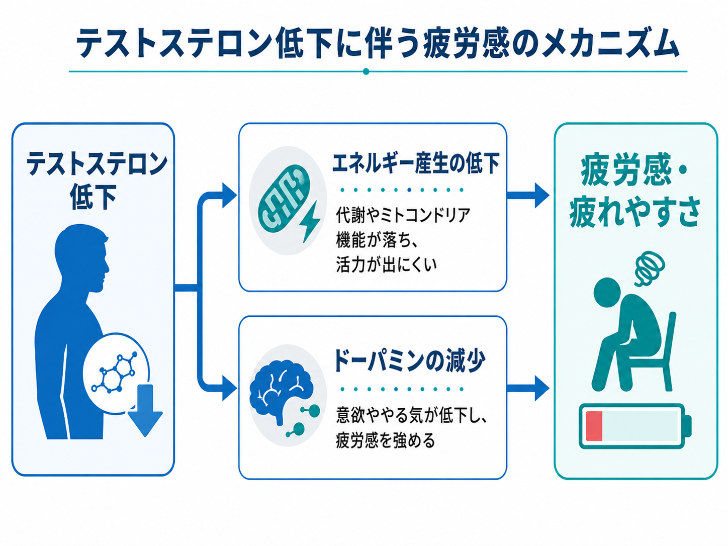 「【専門家に聞く】男性更年期のケアに適したサプリの選び方」を公開いたしました