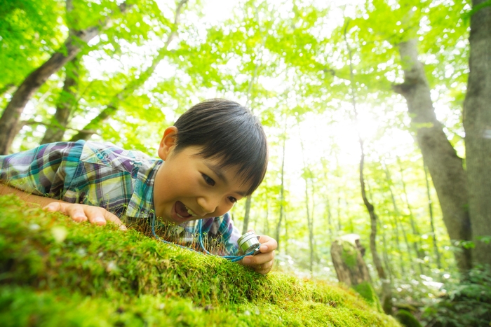 【奥入瀬渓流ホテル】苔キッズ(1)