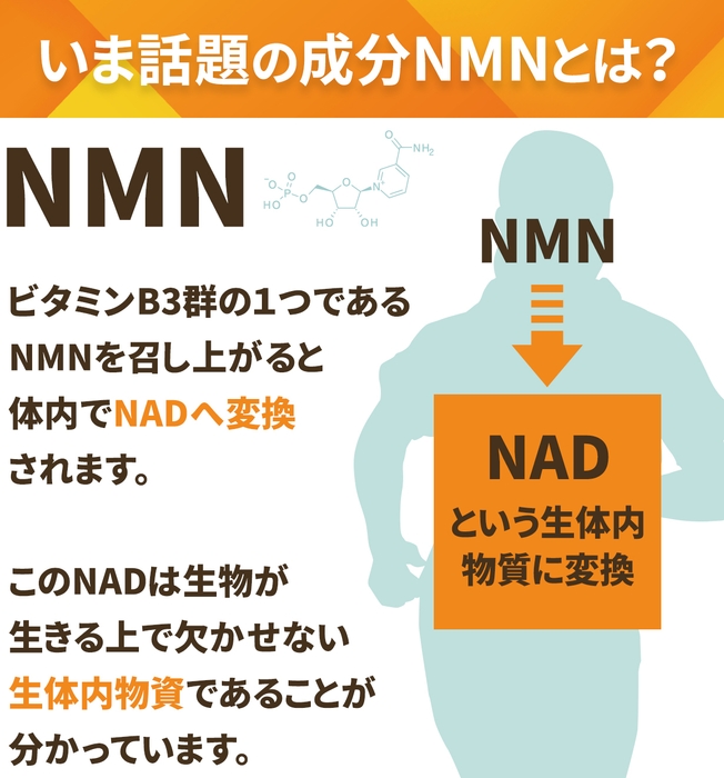 いま話題の成分NMNとは?