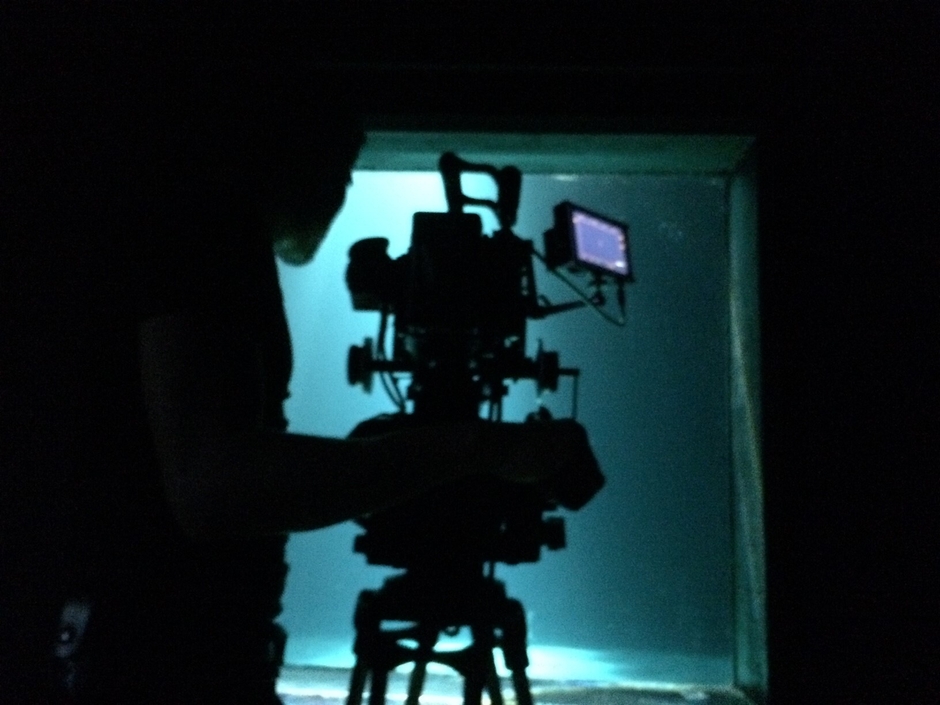 イギリスのエセックス 水中撮影の様子(1)