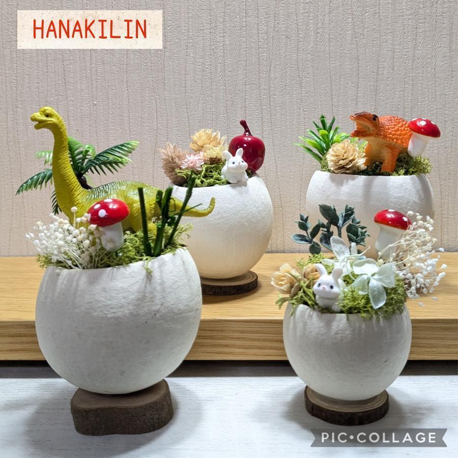 今回実施予定体験教室・ミニチュアガーデン講座