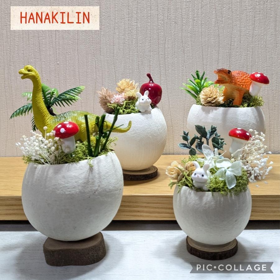 今回実施予定体験教室・ミニチュアガーデン講座