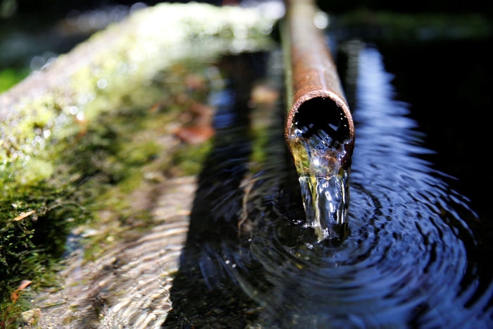 ミツカン水の文化センター HP画像