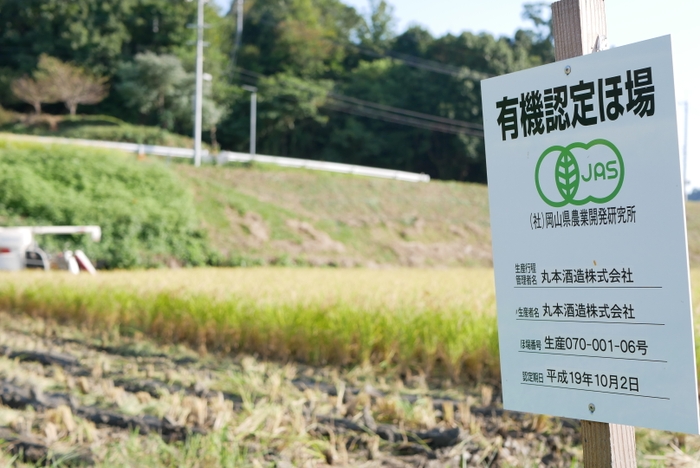 有機管理された田んぼ