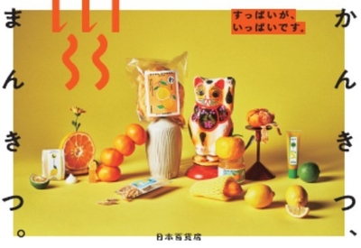 5月 柑橘