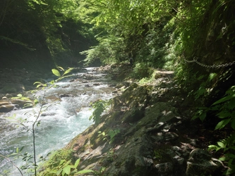 「日本の滝100選」選出の滝や深緑の山歩きで四季を体感　 秩父鉄道、夏山ハイキングを8-9月に開催