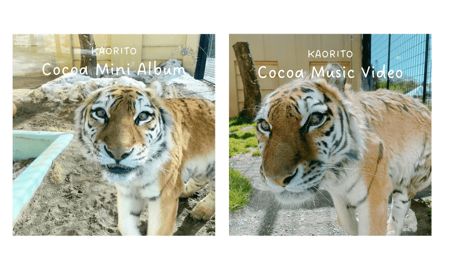 （左）ココアミニアルバム（全5曲収録）¥1,650 税込　（右）ココアミュージックビデオ（全3曲収録）¥1,980 税込