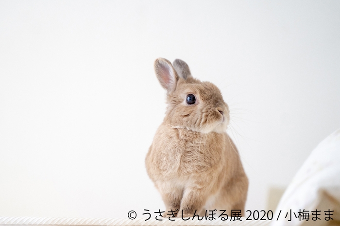 展示作品9