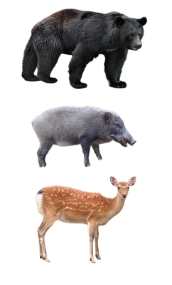 害獣たち