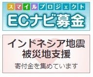 ECナビポイント募金