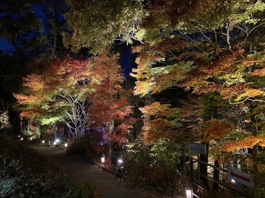 夜の魚たちの姿や自然にふれあえる 「醒井養鱒場　探検ナイトツアー2024」を 醒井養鱒場にて11月2日(土)に先着50名様限定で開催！