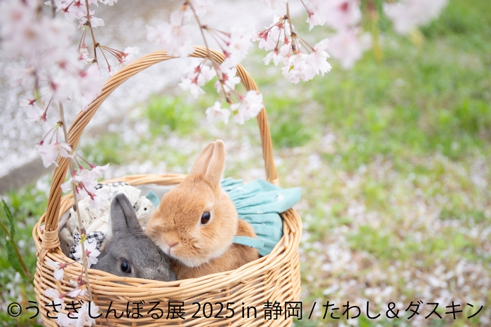 うさぎしんぼる展 展示作品2