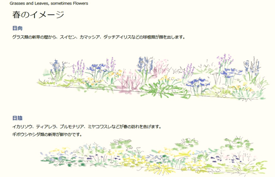 デザイン画