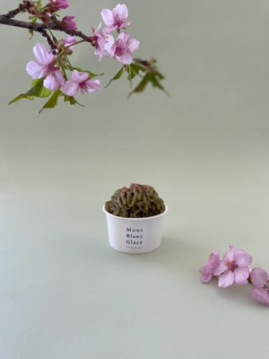 鎌倉のモンブラン専門店「Mont Blanc Stand」より オンラインショップ限定・春のモンブランアイス全5種類発売！