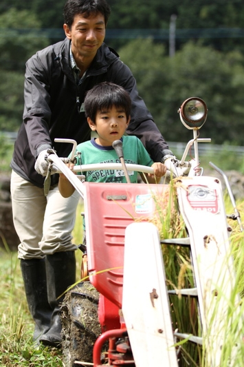 機械刈りの様子