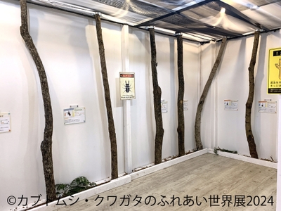 展示作品(10)