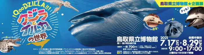 鳥取県立博物館 企画展「クジラとイルカの世界」