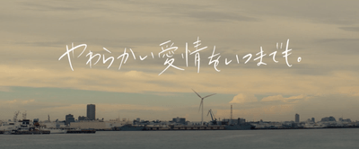動画キャプチャ10